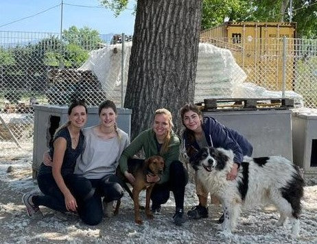 Foto von Frauen mit Hunden 